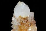 Sunshine Cactus Quartz Crystal - South Africa #80185-1